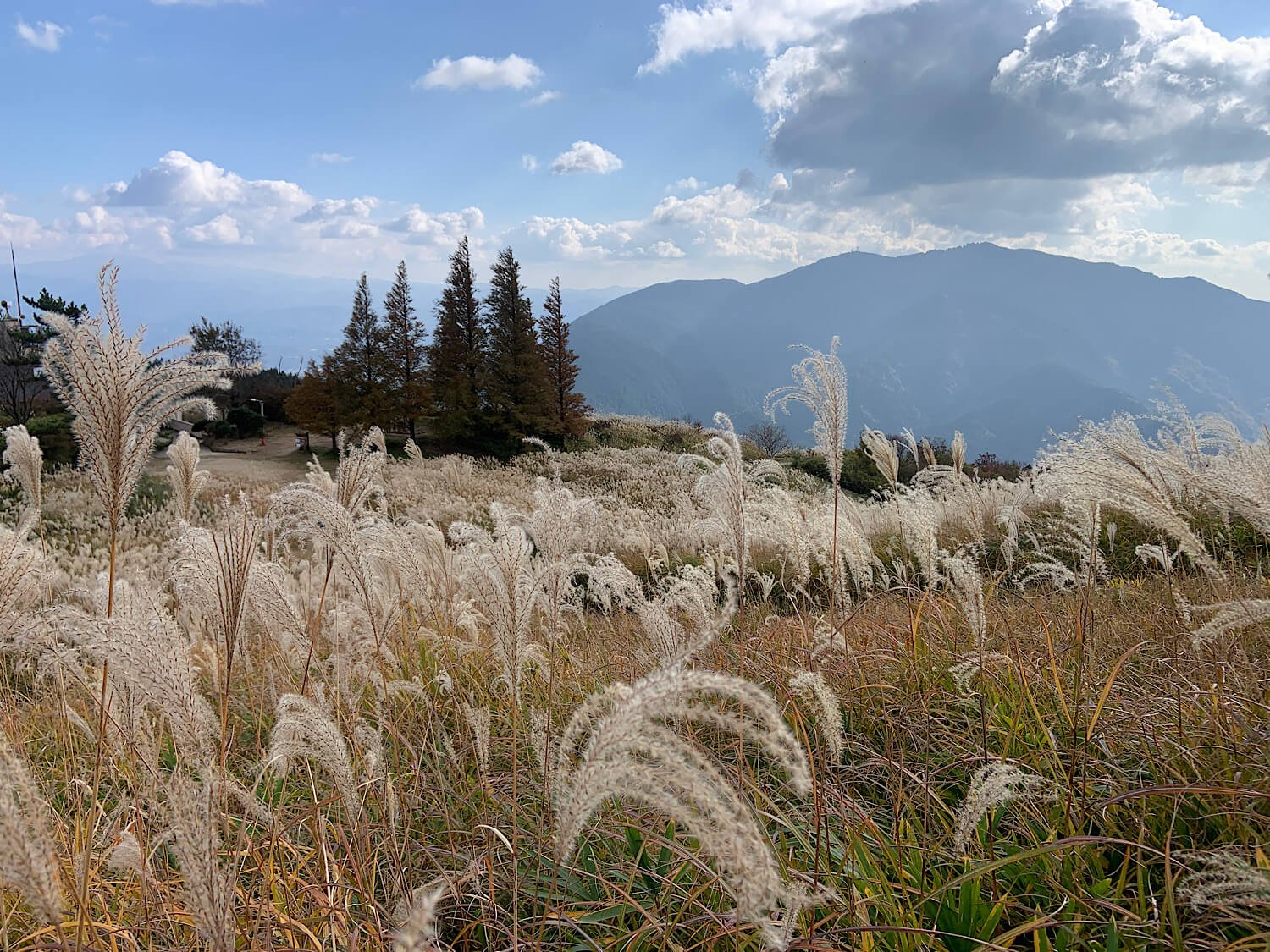🏞️ 가쓰라기 고원 (카츠라기 코겐) 이미지 4